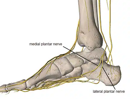Figure-1-1